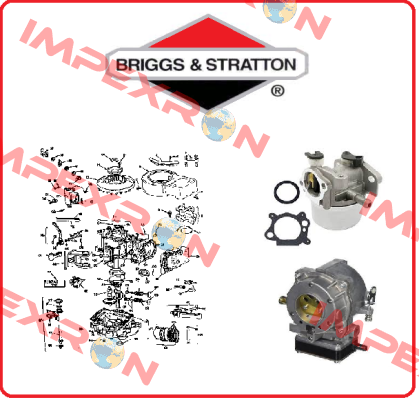 Briggs-Stratton