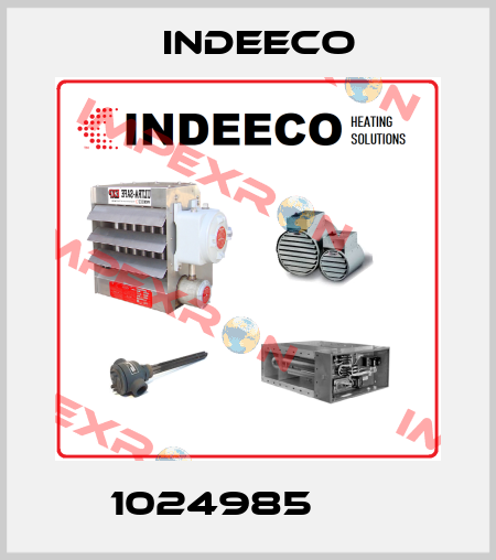 1024985       Indeeco