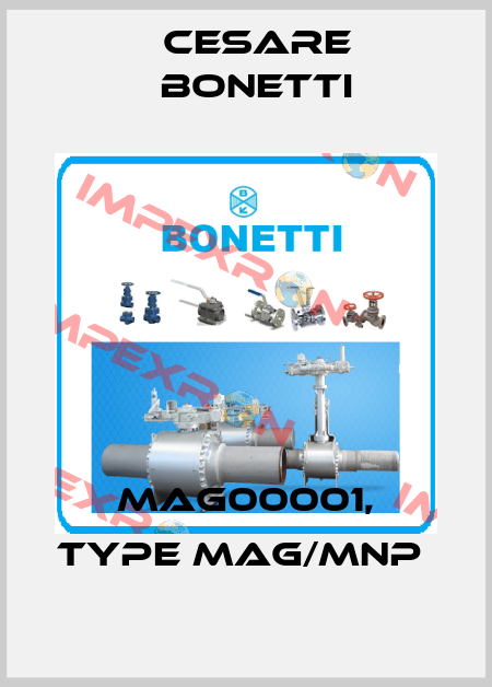 MAG00001, type MAG/MNP  Cesare Bonetti