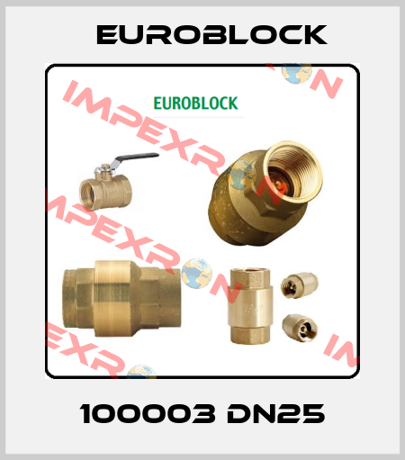 100003 DN25 Euroblock