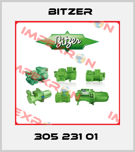 305 231 01  Bitzer