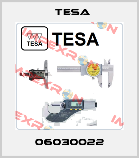 06030022 Tesa