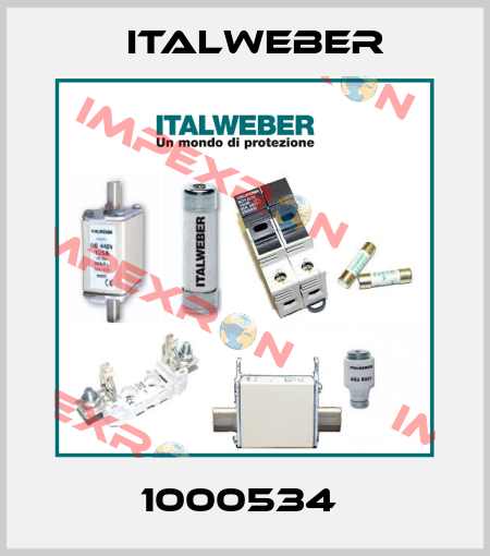 1000534  Italweber