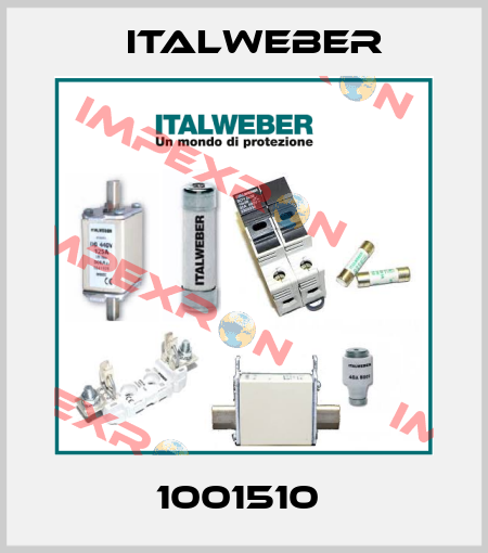 1001510  Italweber