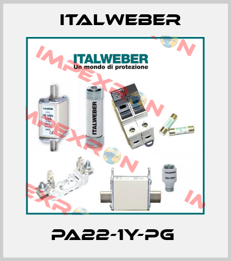 PA22-1Y-PG  Italweber