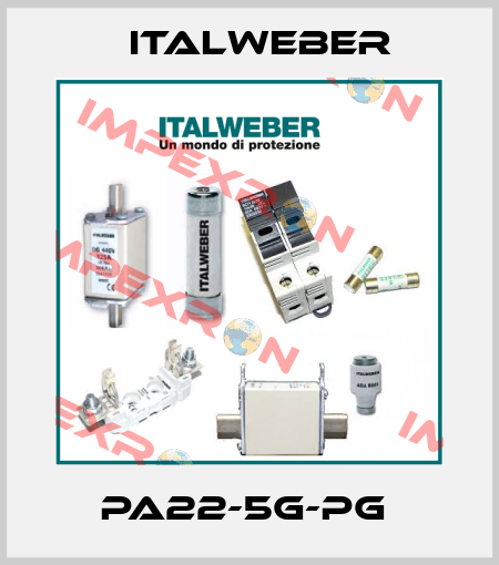 PA22-5G-PG  Italweber