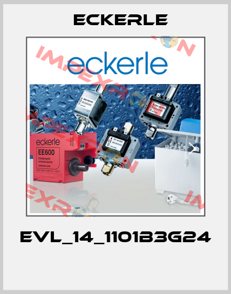 EVL_14_1101B3G24  Eckerle