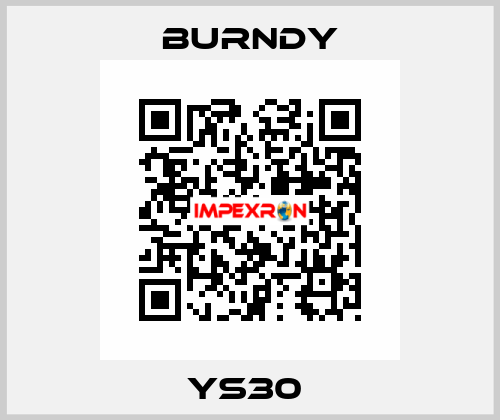 YS30  Burndy