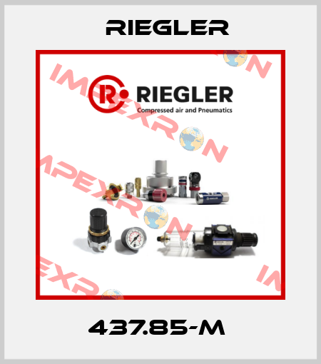 437.85-M  Riegler