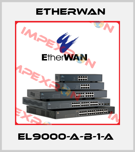 EL9000-A-B-1-A  Etherwan