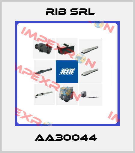 AA30044  Rib Srl