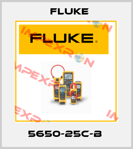 5650-25C-B  Fluke