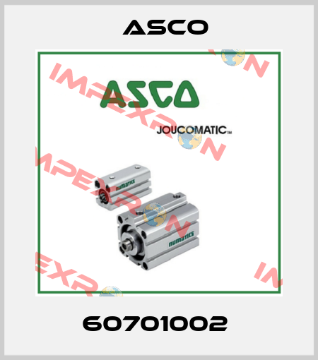 60701002  Asco