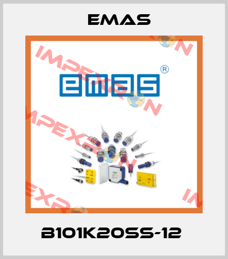 B101K20SS-12  Emas