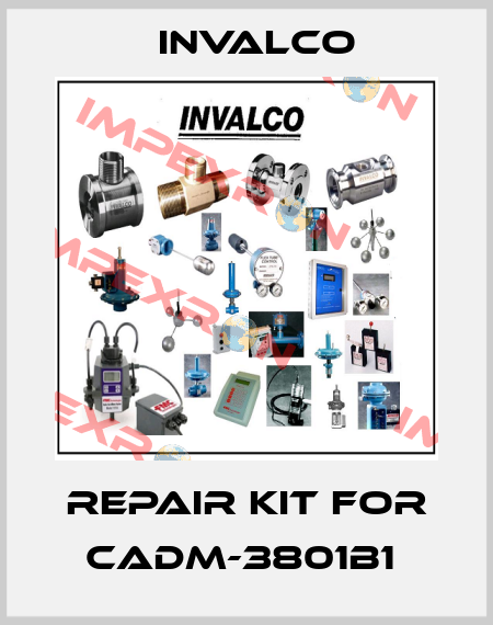 Repair kit for CADM-3801B1  Invalco