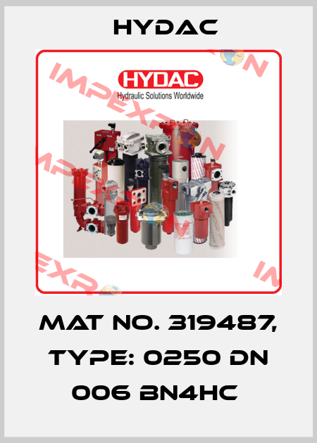 Mat No. 319487, Type: 0250 DN 006 BN4HC  Hydac