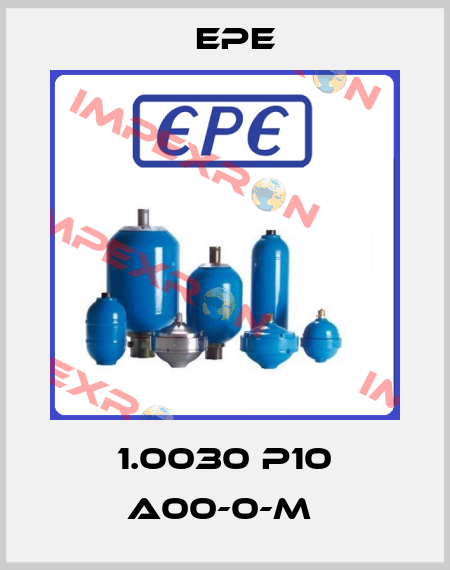 1.0030 P10 A00-0-M  Epe