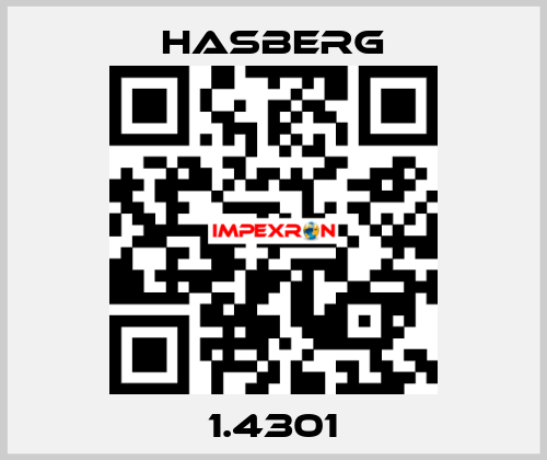 1.4301  Hasberg