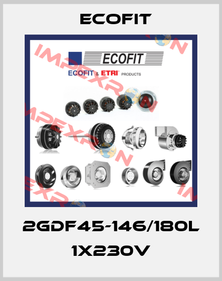 2GDF45-146/180L 1x230V Ecofit