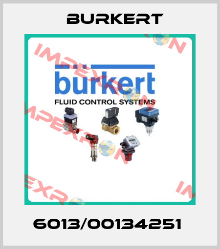 6013/00134251  Burkert