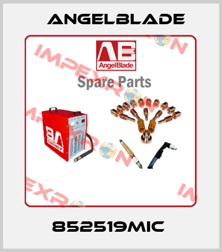 852519MIC  AngelBlade