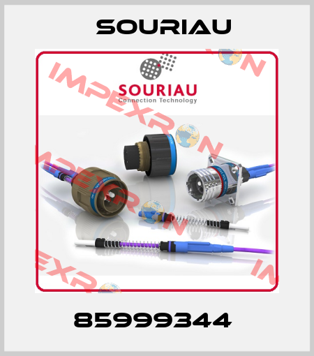 85999344  Souriau
