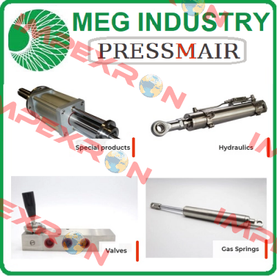 VSR/8X 1/8” BSP AISI316  Meg Industry (Pressmair)