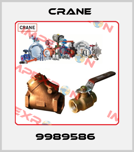 9989586  Crane