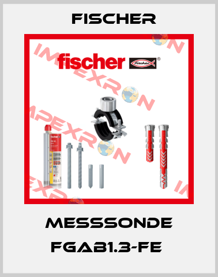 MESSSONDE FGAB1.3-Fe  Fischer