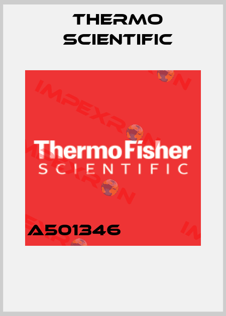 A501346                 Thermo Scientific