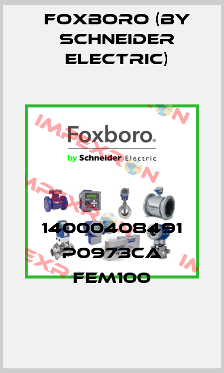 14000408491 P0973CA FEM100 Foxboro (by Schneider Electric)