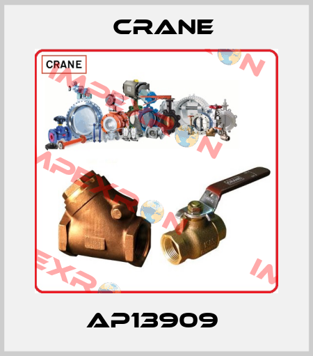 AP13909  Crane
