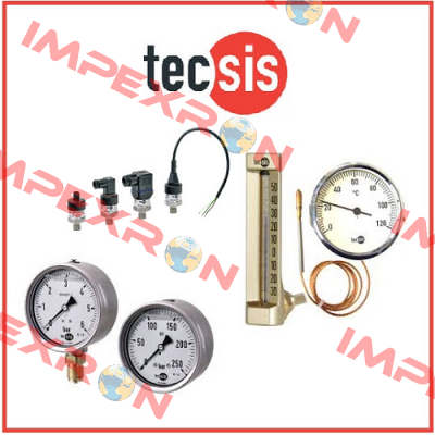 P1778B082002  Tecsis (WIKA Group)