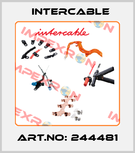 ART.NO: 244481 Intercable