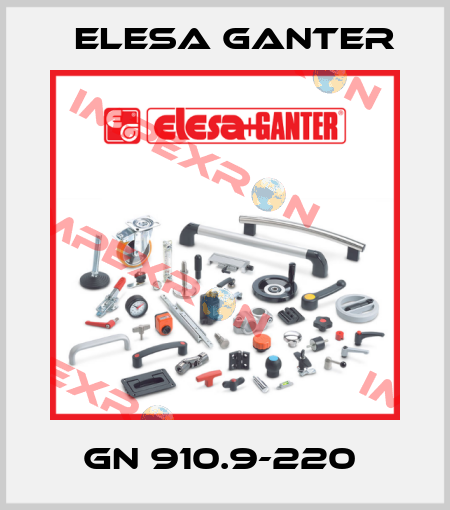 GN 910.9-220  Elesa Ganter