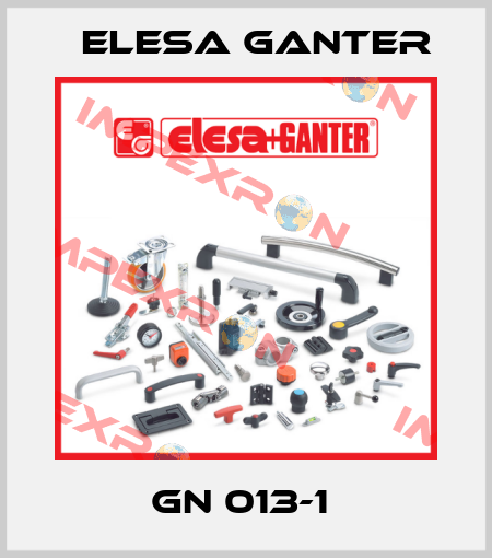 GN 013-1  Elesa Ganter