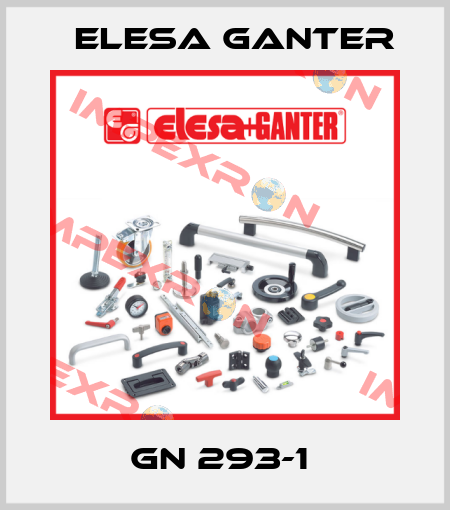 GN 293-1  Elesa Ganter