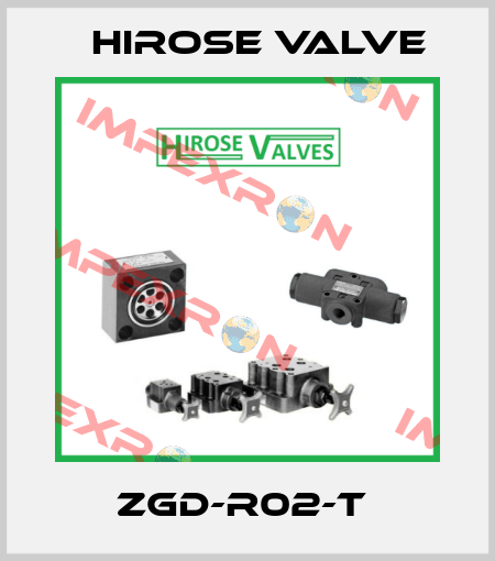 ZGD-R02-T  Hirose Valve