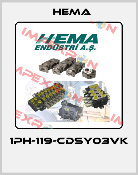 1PH-119-CDSY03VK  Hema