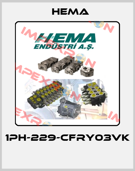 1PH-229-CFRY03VK  Hema