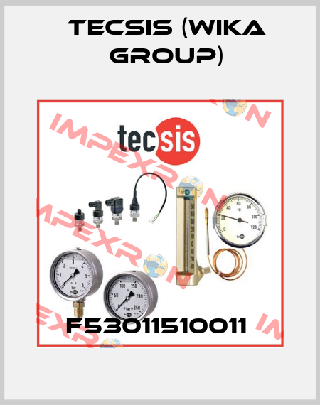 F53011510011  Tecsis (WIKA Group)