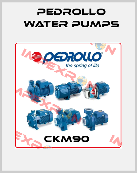 CKM90  Pedrollo Water Pumps