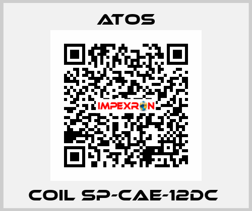 Coil SP-CAE-12DC  Atos