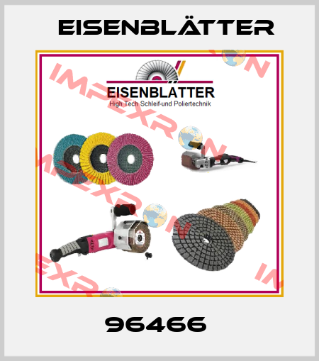 96466  Eisenblätter