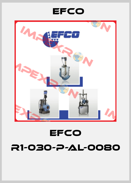 EFCO R1-030-P-AL-0080  Efco