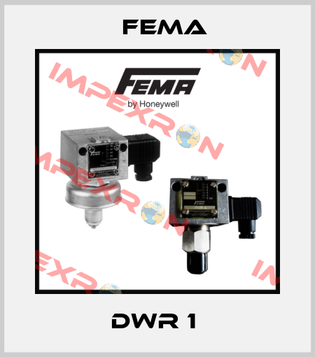 DWR 1  FEMA