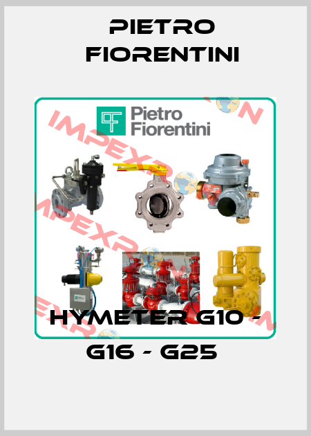 HyMeter G10 - G16 - G25  Pietro Fiorentini