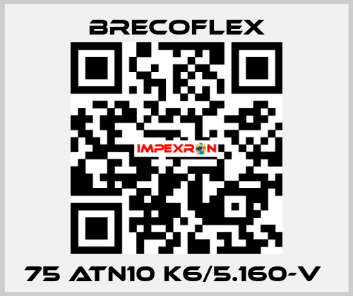 75 ATN10 K6/5.160-V  Brecoflex