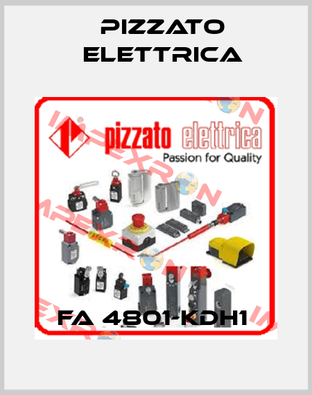FA 4801-KDH1  Pizzato Elettrica