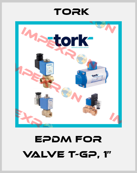 EPDM FOR VALVE T-GP, 1”  Tork